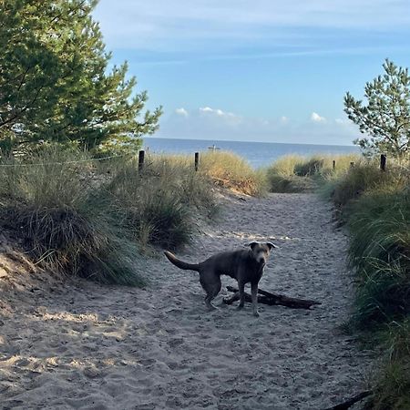 Reet Am Strand Mit Hund Karlshagen Dış mekan fotoğraf